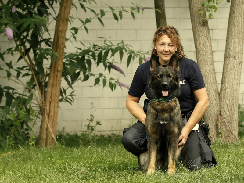 POL-DU: Marxloh: Drogenspürhund hatte den richtigen Riecher - und findet Socke mit Drogen - Foto: presseportal.de
