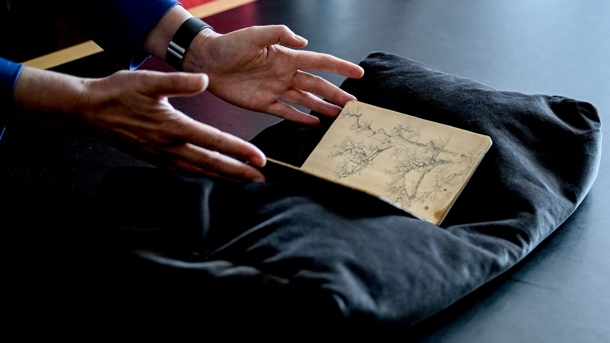 Skizzenbuch mit Vogelstudien - Foto: Britta Pedersen/dpa