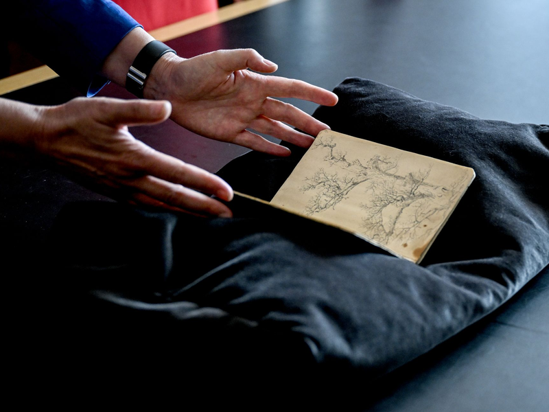 Skizzenbuch mit Vogelstudien - Foto: Britta Pedersen/dpa