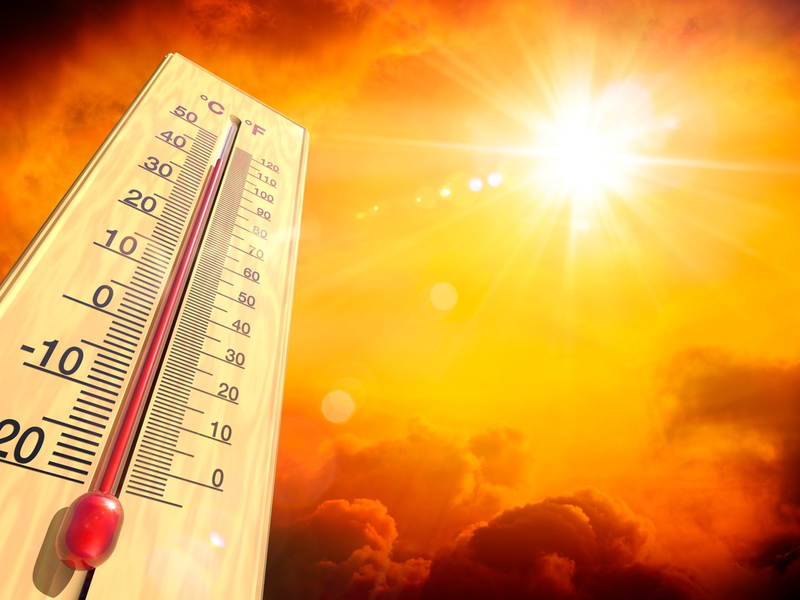 Hitzewelle erfasst Europa: Wie sich Städte jetzt wappnen können - Foto: presseportal.de