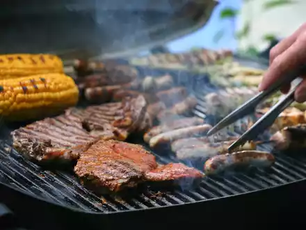 Biofleisch und pflanzliche Ersatzprodukte sind teurer als Fleisch aus konventioneller Tierhaltung (Symbolbild). - Foto: Karl-Josef Hildenbrand/dpa/dpa-tmn