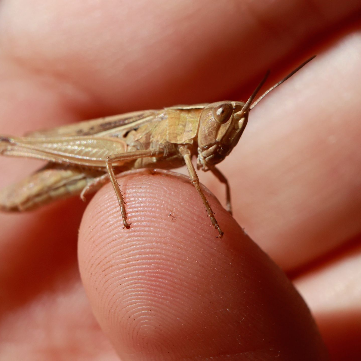 Ein eigenes Schulfach zum Klimabewusstsein hält Resch nicht für sinnvoll. (Symbolbild) - Foto: Matthias Bein/dpa