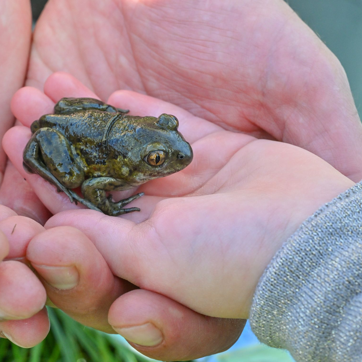Das Bewusstsein, selbst etwas tun zu können. (Symbolbild) - Foto: Patrick Pleul/dpa
