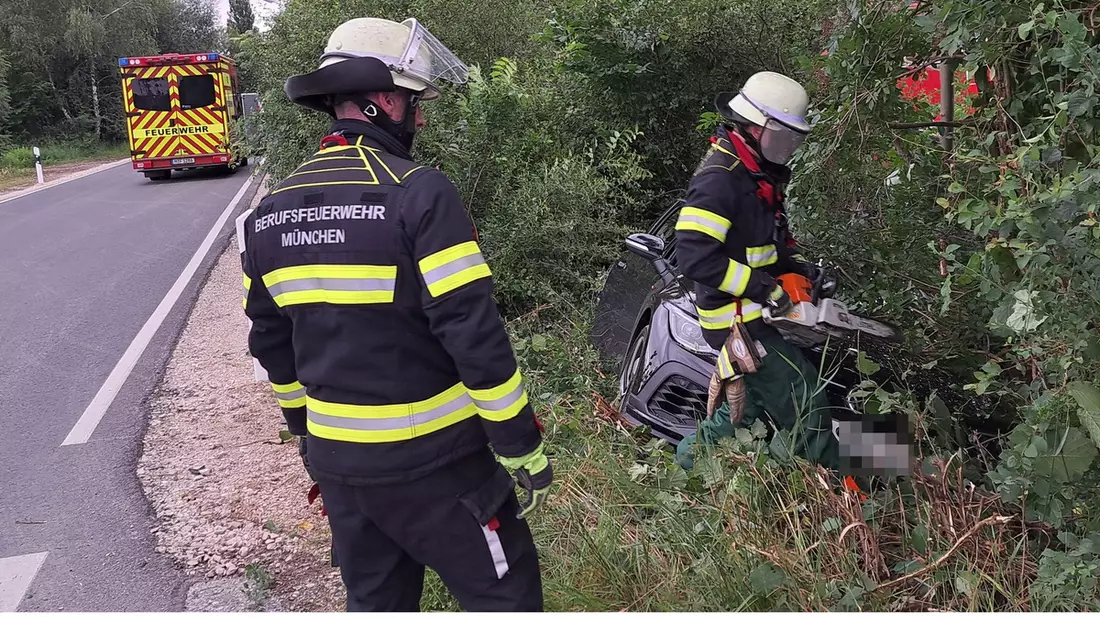 FW-M: Ab durch die Hecke (Pasing-Obermenzing) - Bild: presseportal.de