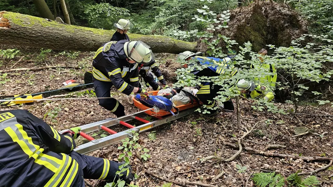 FW-AR: Zusammenarbeit bei Unfällen im Wald intensiviert - Bild: presseportal.de