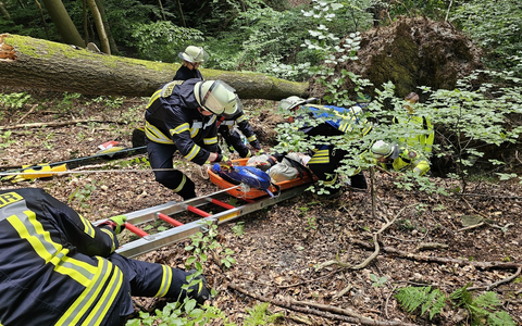 FW-AR: Zusammenarbeit bei Unfällen im Wald intensiviert - Foto: presseportal.de