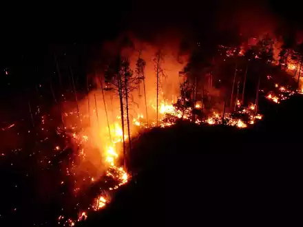 Hitzebrände toben in Bukgarien auch in diesem Sommer - Foto: Thomas Schulz/dpa-Zentralbild/dpa