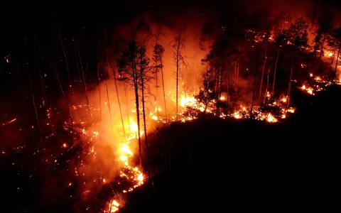 Hitzebrände toben in Bukgarien auch in diesem Sommer - Foto: Thomas Schulz/dpa-Zentralbild/dpa