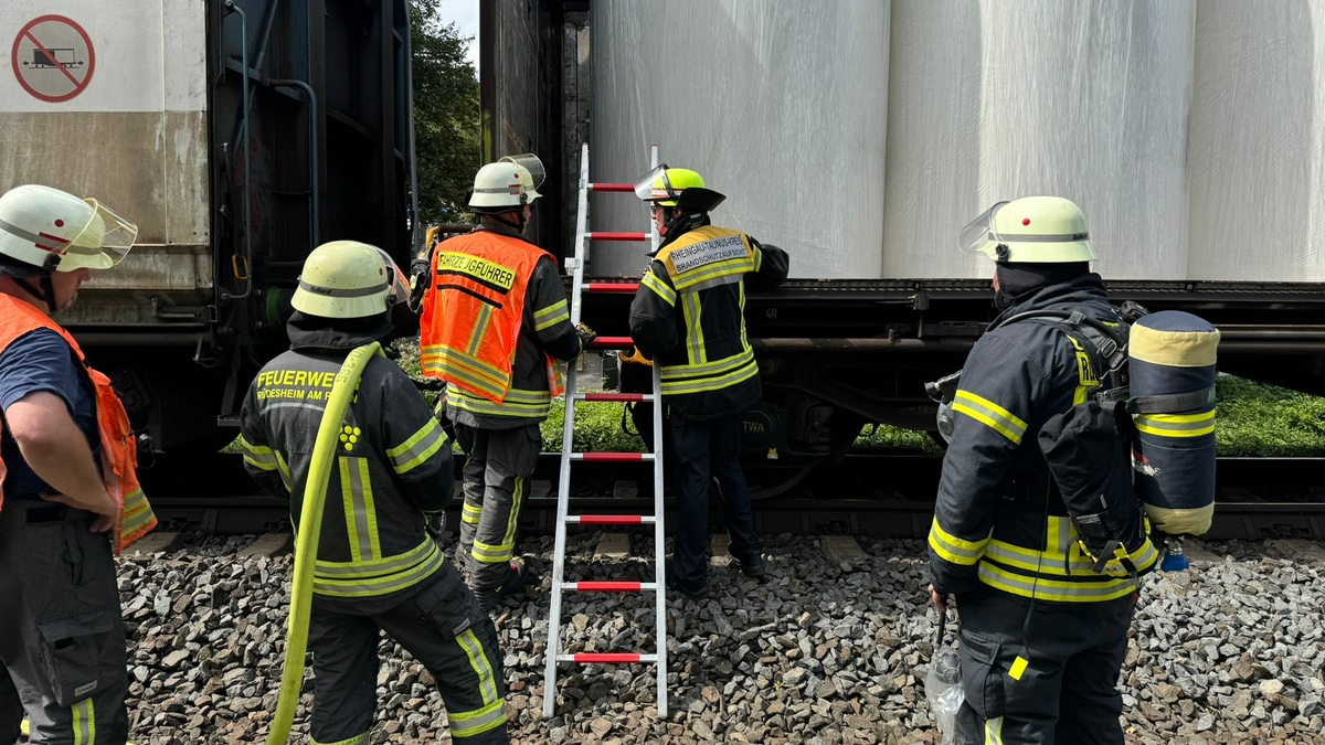 FW Rheingau-Taunus: Feuer an Güterzug und fünf Folgebrände im Rheingau - Foto: presseportal.de