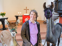 Die Tiere sorgen für besondere Stunden  - Foto: picture alliance / dpa