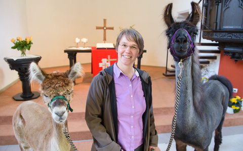 Die Tiere sorgen für besondere Stunden  - Foto: picture alliance / dpa