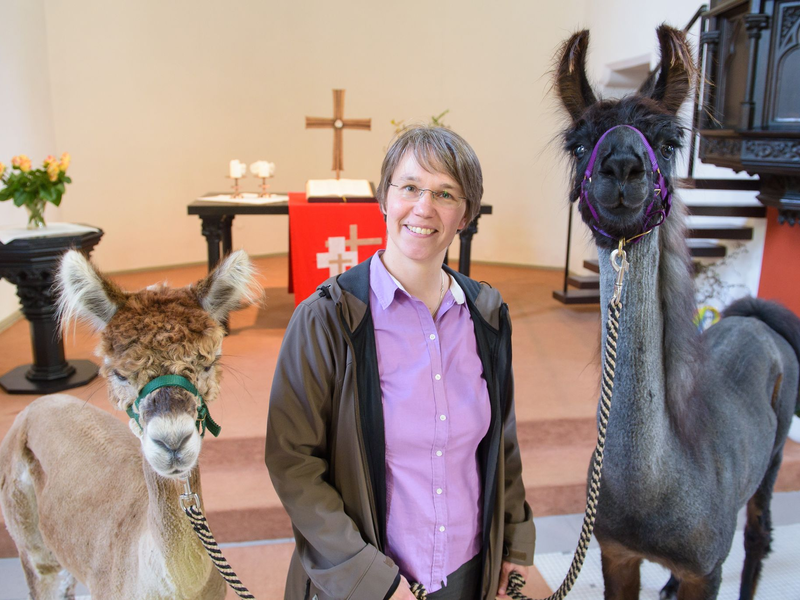 Die Tiere sorgen für besondere Stunden  - Foto: picture alliance / dpa