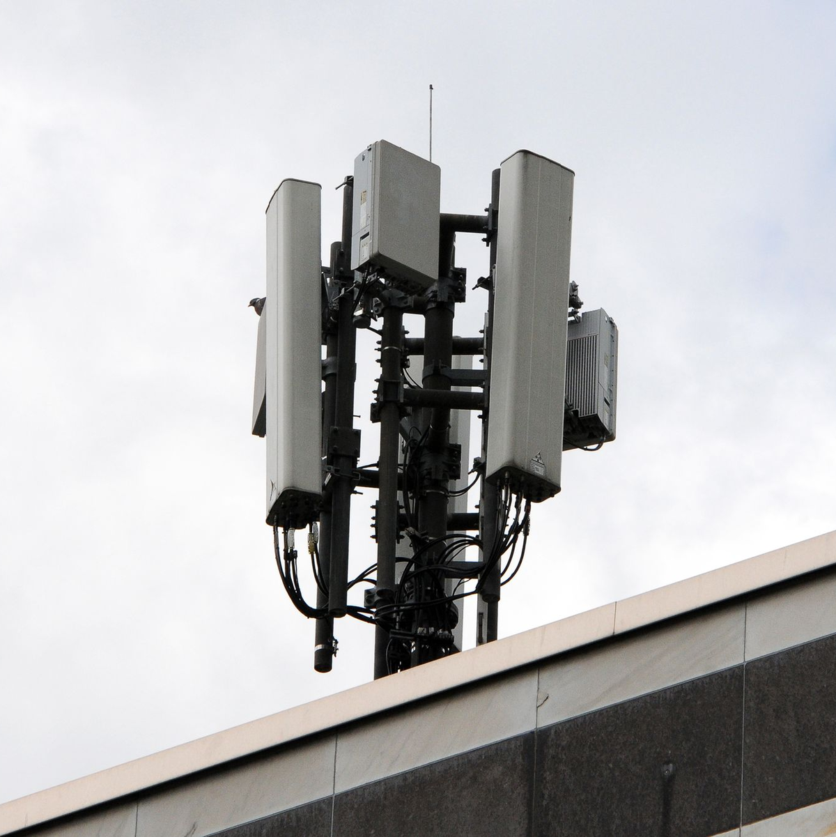 Mobilfunkantennen des Funkstandards 4G (länglich) und 5G (quadratisch) sind auf einem Dach an einem kleinen Mast montiert. - Foto: Wolf von Dewitz/dpa