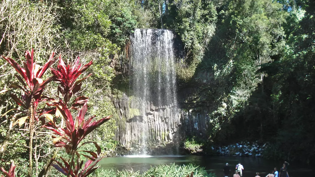 Unfälle an den Millaa Millaa Falls sind sehr selten. (Archivbild) - Bild: Carola Frentzen/dpa
