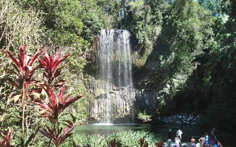 Unfälle an den Millaa Millaa Falls sind sehr selten. (Archivbild) - Foto: Carola Frentzen/dpa