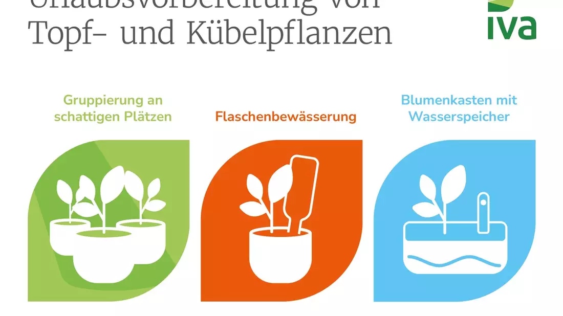 So bleibt die heimische Oase grün: Tipps zur Pflanzenpflege in der Urlaubszeit - Bild: presseportal.de