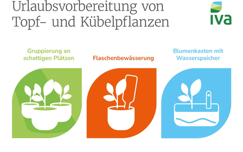 So bleibt die heimische Oase grün: Tipps zur Pflanzenpflege in der Urlaubszeit - Foto: presseportal.de