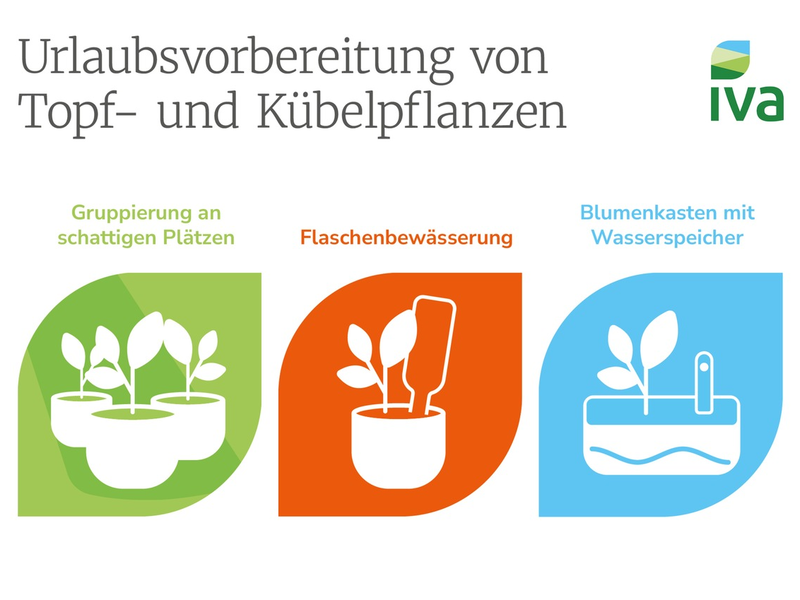 So bleibt die heimische Oase grün: Tipps zur Pflanzenpflege in der Urlaubszeit - Foto: presseportal.de