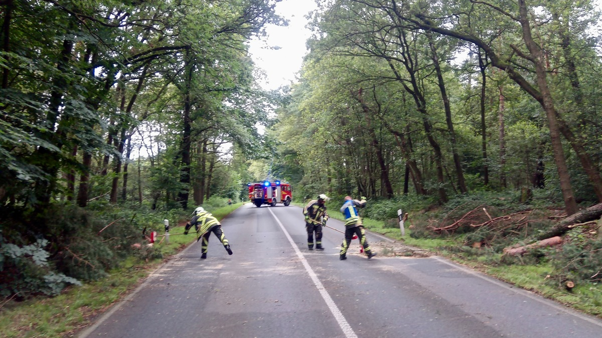 FW Hünxe: Baumkrone beschädigt - Foto: presseportal.de
