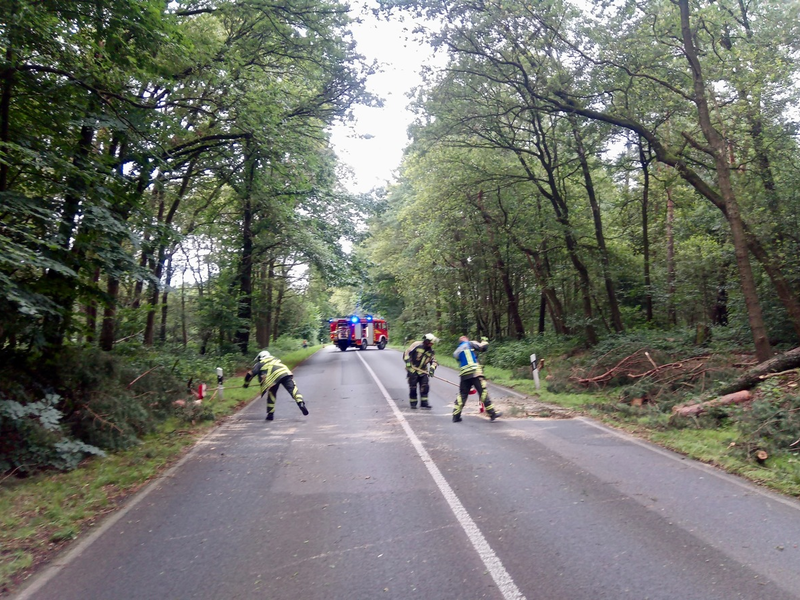 FW Hünxe: Baumkrone beschädigt - Foto: presseportal.de