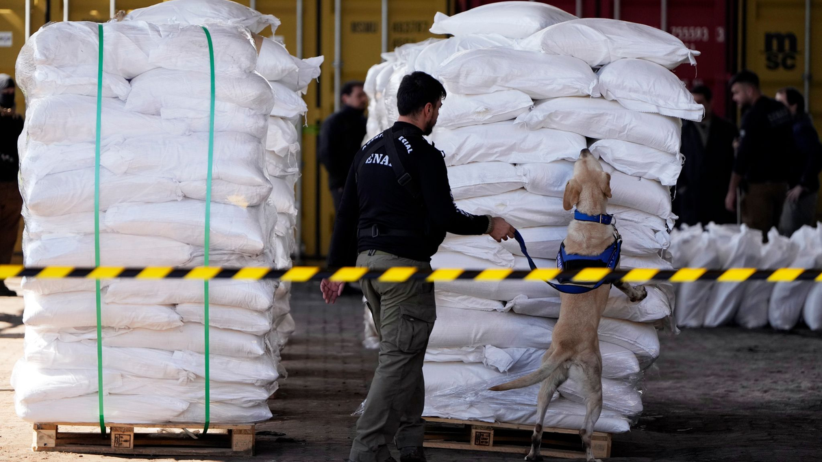 Das Rauschgift hätte nach Angaben der Ermittler in Europa einen Marktwert von rund 220 Millionen Euro. - Foto: Jorge Saenz/AP
