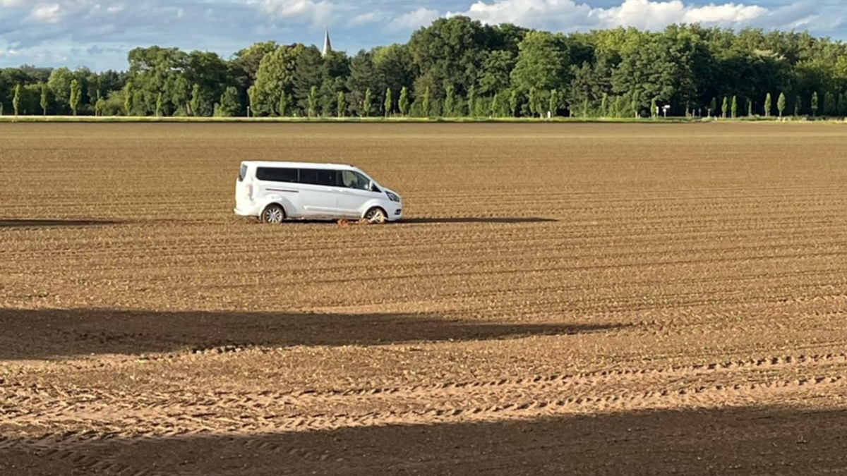 POL-DN: Alkoholisiert im Feld gelandet - Foto: presseportal.de