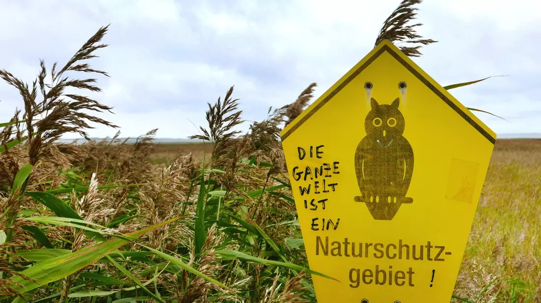 Vogelperspektiven am 22. August im SWR und in der ARD Mediathek - Bild: presseportal.de