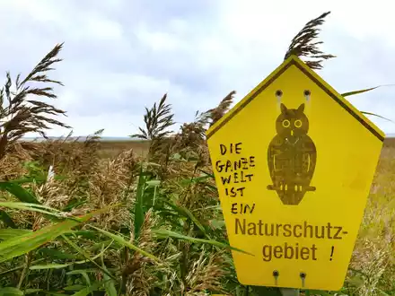 Vogelperspektiven am 22. August im SWR und in der ARD Mediathek - Foto: presseportal.de