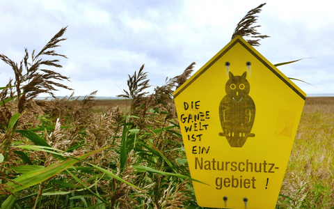 Vogelperspektiven am 22. August im SWR und in der ARD Mediathek - Foto: presseportal.de