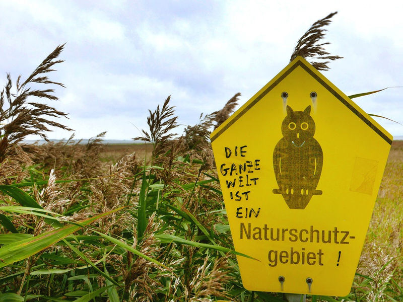 Vogelperspektiven am 22. August im SWR und in der ARD Mediathek - Foto: presseportal.de