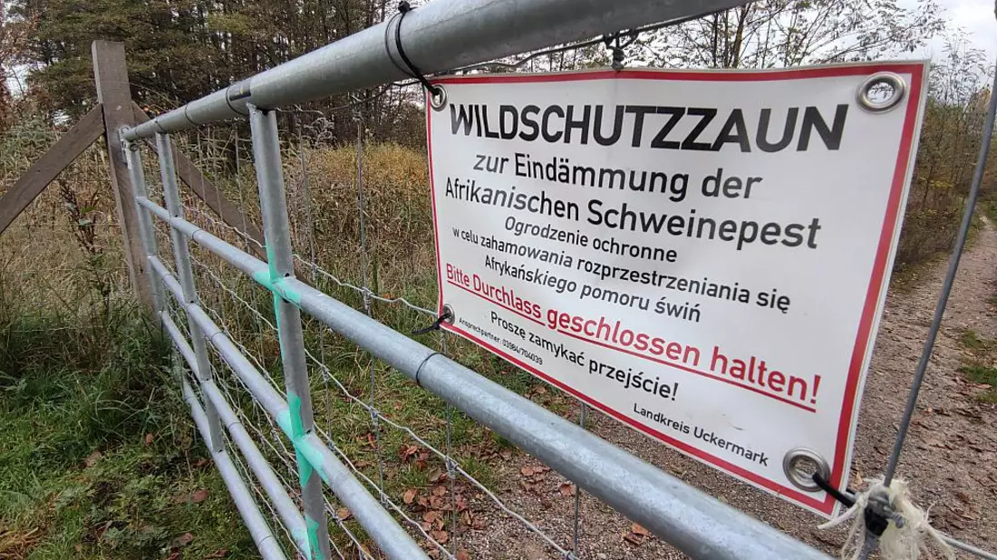 Wildschutzzaun gegen Afrikanische Schweinepest (Archiv) - Bild: über dts Nachrichtenagentur