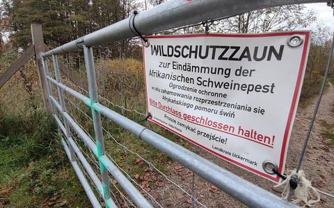 Wildschutzzaun gegen Afrikanische Schweinepest (Archiv) - Foto: über dts Nachrichtenagentur