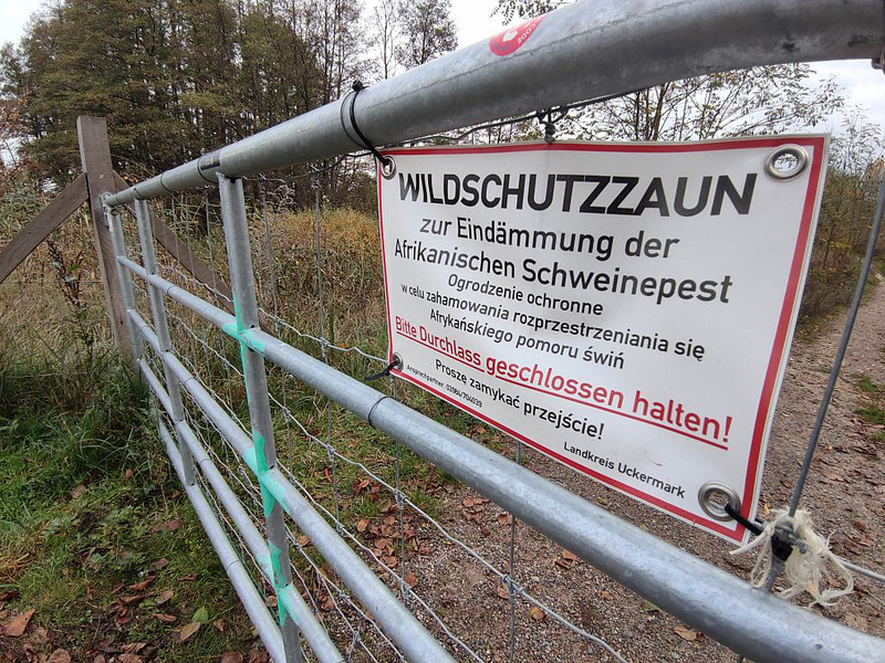 Wildschutzzaun gegen Afrikanische Schweinepest (Archiv) - Foto: über dts Nachrichtenagentur