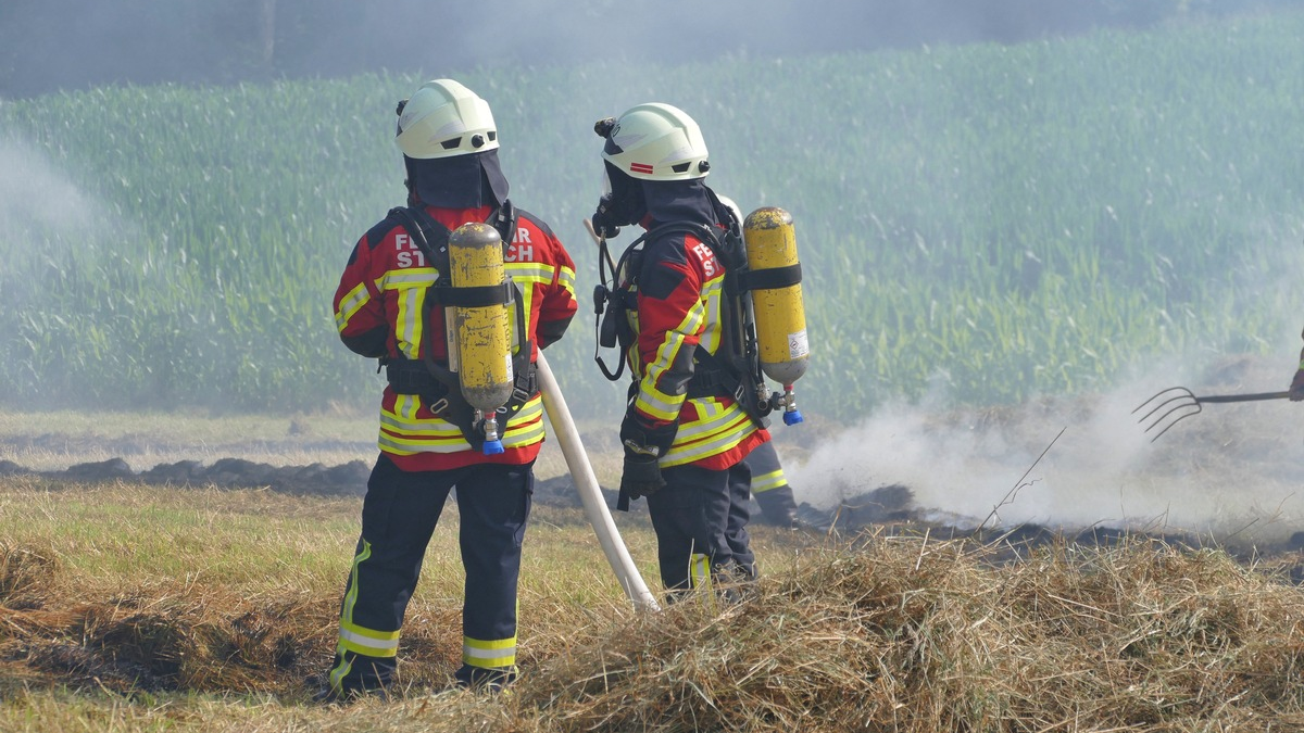 FW Stockach: Flächenbrand - Foto: presseportal.de