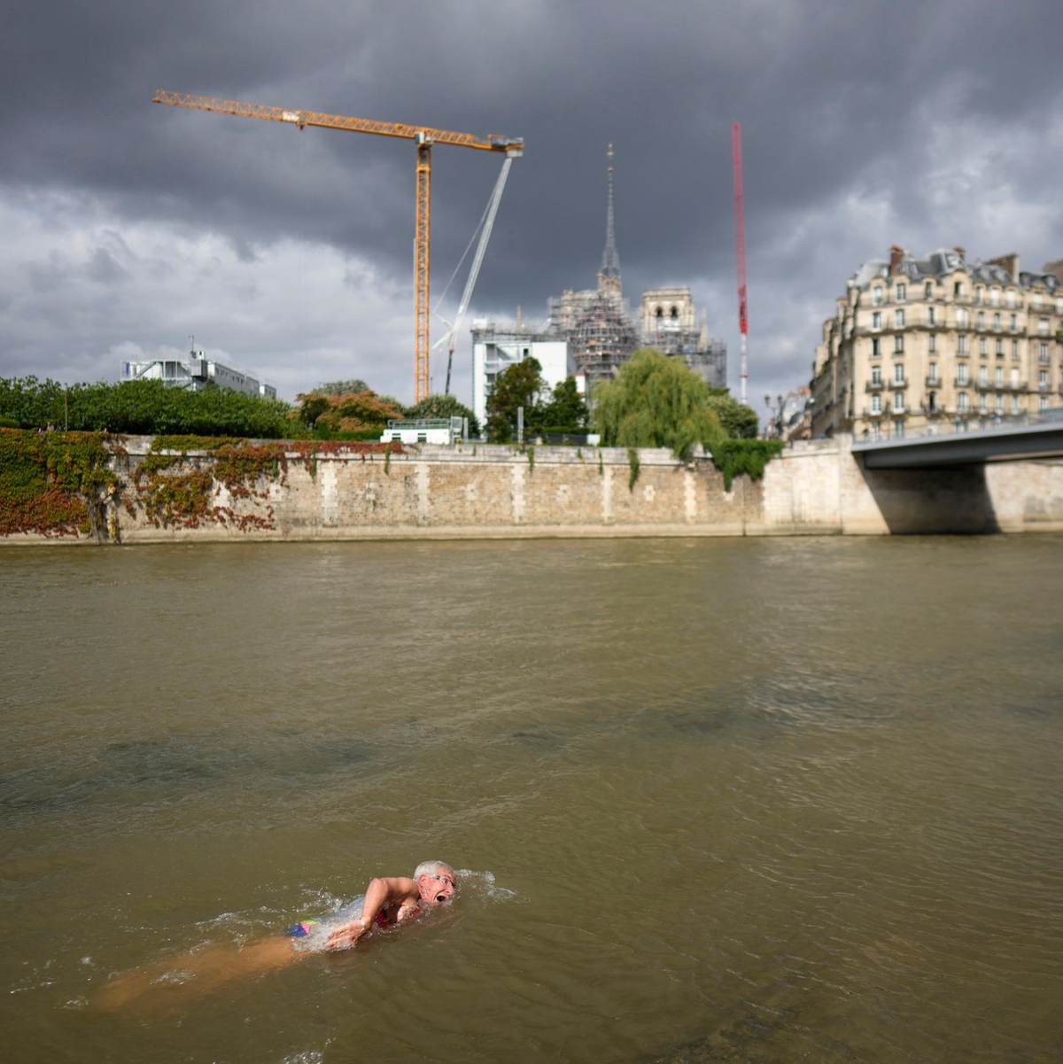 Die Freiwasserschwimmer sollen in der Seine ihre Olympiasieger ermitteln. - Foto: Thibault Camus/AP/dpa