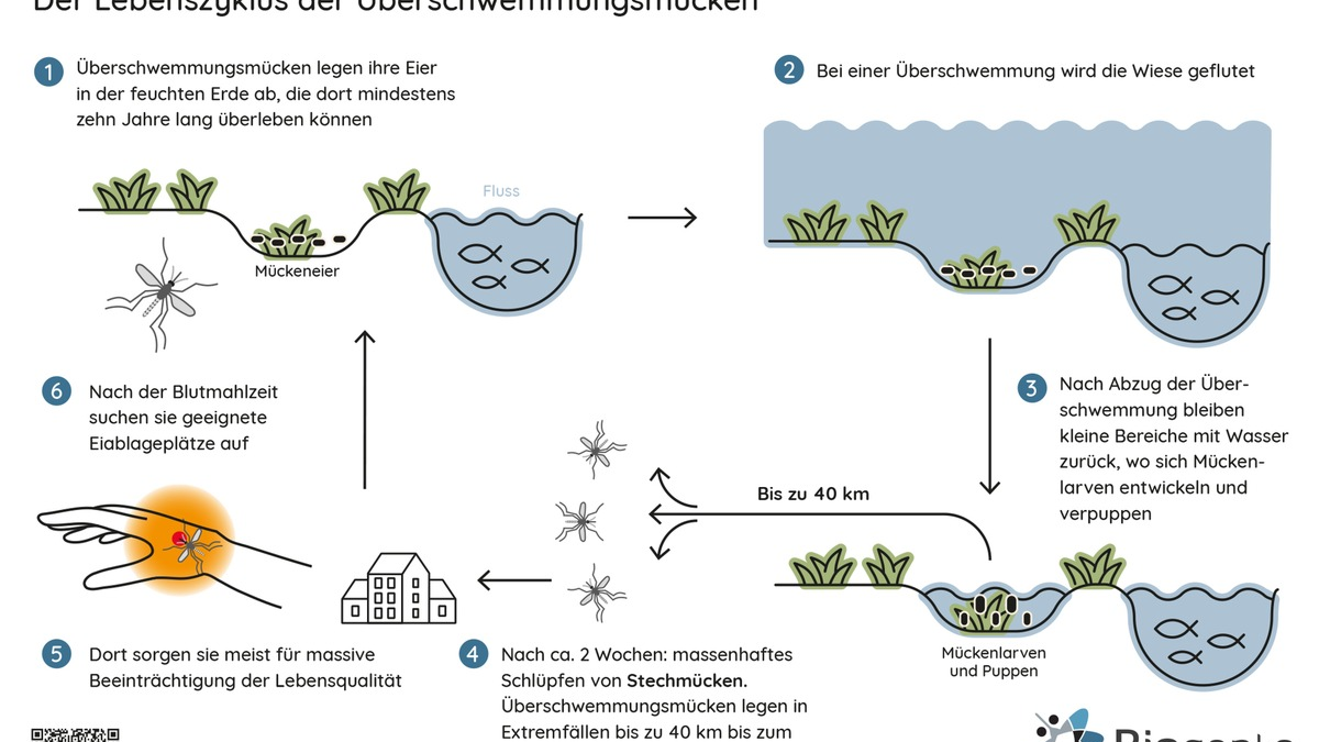 Nachhaltige Hilfe für Biergärten und Co. / Die Mücken kommen, die Gäste gehen - Foto: presseportal.de