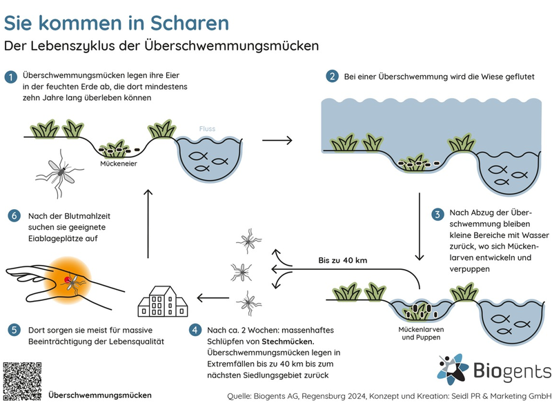 Nachhaltige Hilfe für Biergärten und Co. / Die Mücken kommen, die Gäste gehen - Foto: presseportal.de