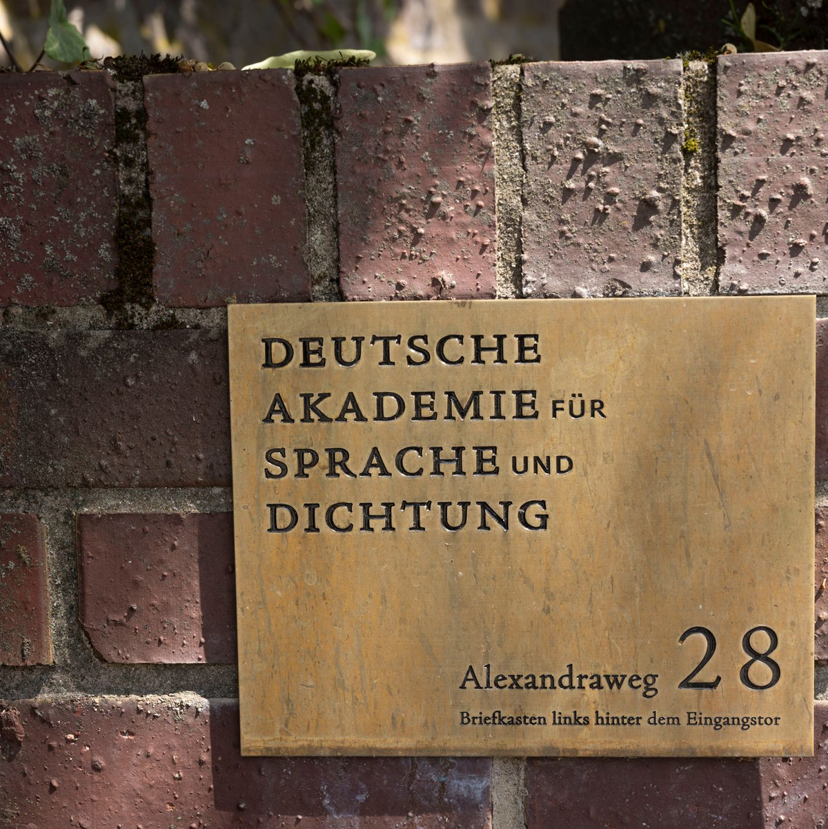 Die Deutsche Akademie für Dichtung und Sprache vergibt seit 1951 den Georg-Büchner-Preis - Foto: Helmut Fricke/dpa