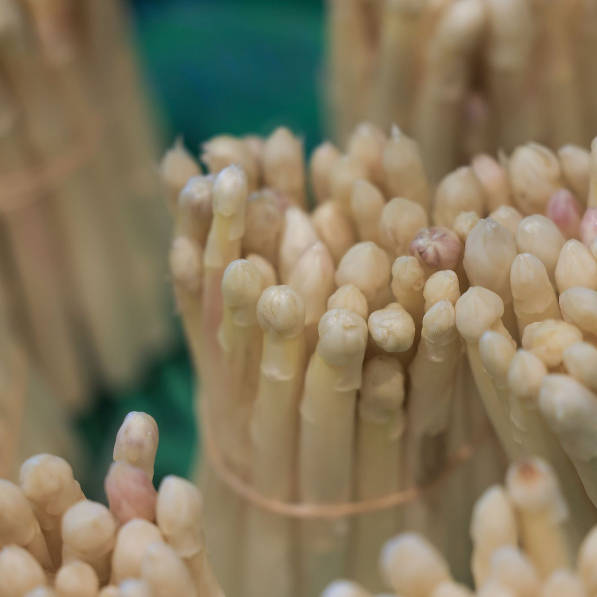 Auch die deutsche Spargelernte fällt dieses Jahr knapp aus. - Foto: Oliver Berg/dpa