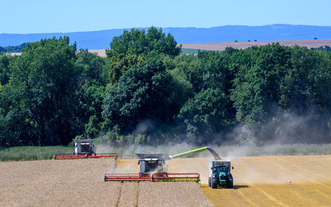 Der Bauernverband zieht eine «ernĂŒchternde» Bilanz der Ernte 2024. (Archivbild) - Foto: Klaus-Dietmar Gabbert/dpa Der Bauernverband zieht eine «ernĂŒchternde» Bilanz der Ernte 2024. (Archivbild) - Foto: Klaus-Dietmar Gabbert/dpa