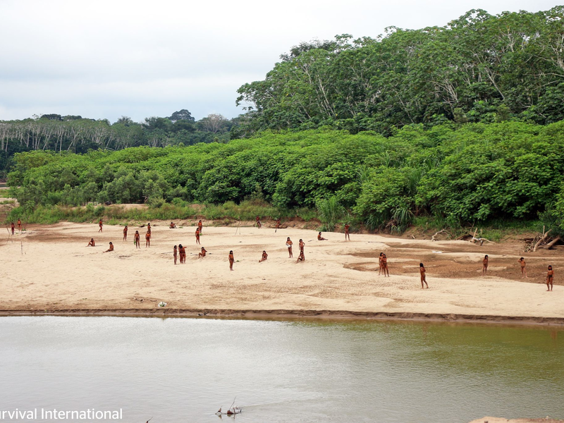 Experten warnen vor Krankheiten und Gewalt. - Foto: ---/Survival International/dpa