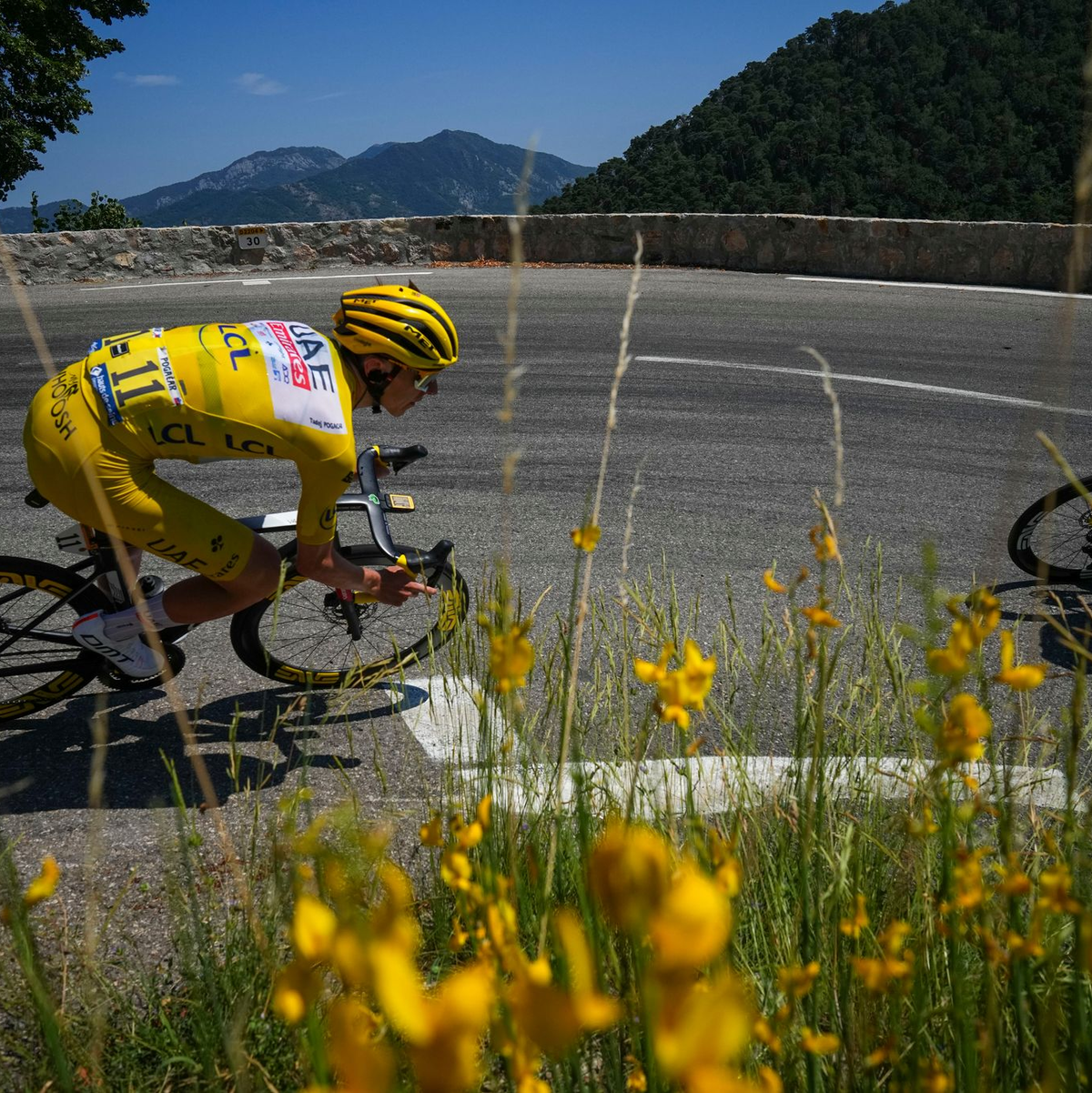 Tadej Pogacar trennt nur noch eine Etappe vom Tour-Sieg - Foto: Daniel Cole/AP/dpa