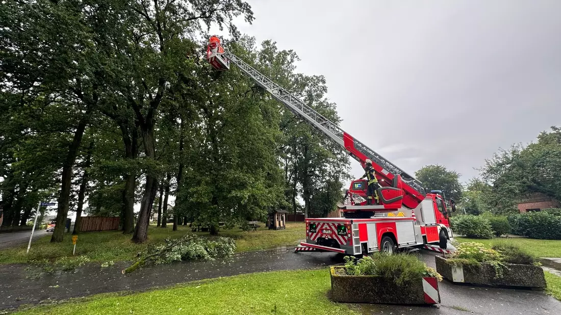 FW Celle: Wetterbedingte Einsätze in Celle - Bild: presseportal.de