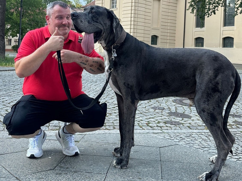 Dogge Ramses und Besitzer Patrick Hein: Schafft es der Hund als größter lebender Hund ins Guinness-Buch der Rekorde? - Foto: Tobias Grahn/TNN/dpa