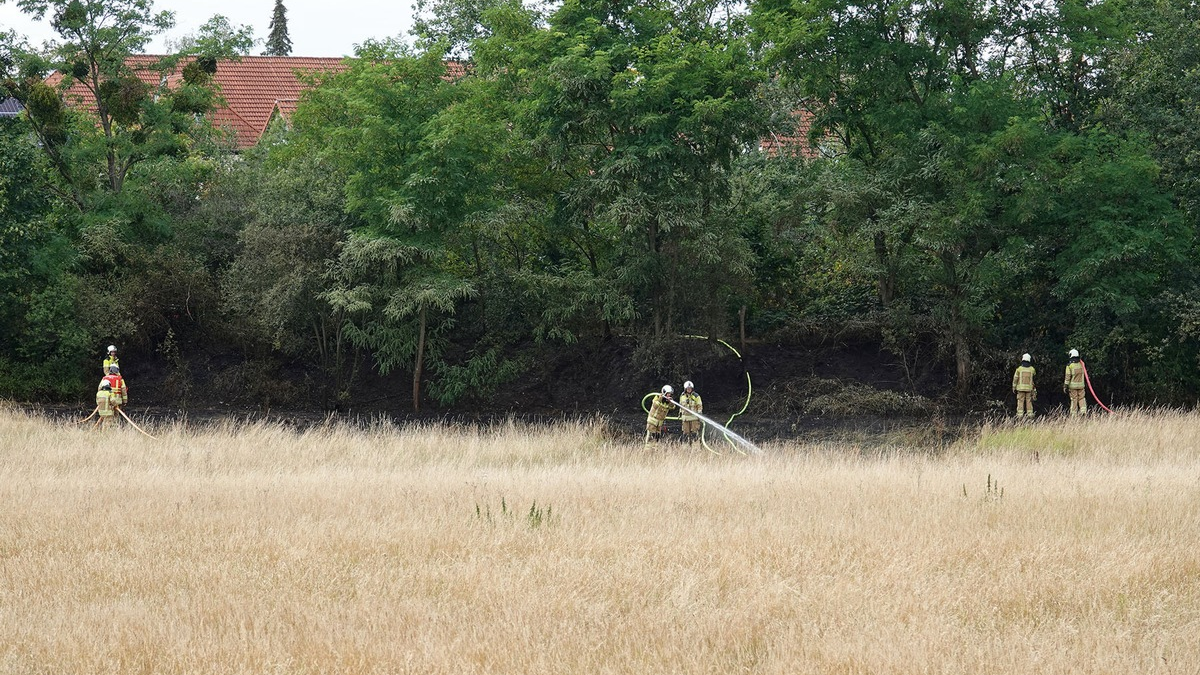 FW Dresden: Informationen zum Einsatzgeschehen von Feuerwehr und Rettungsdienst in der Landeshauptstadt Dresden vom 22. Juli 2024 - Foto: presseportal.de