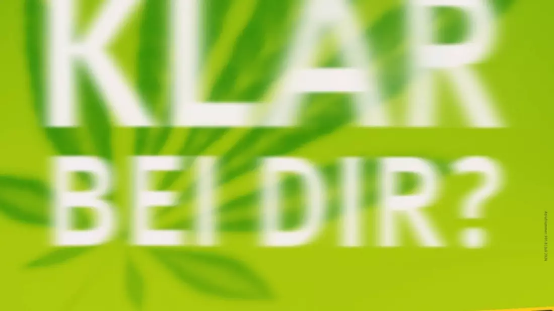 Cannabis am Arbeitsplatz: Beschäftigte für Risiken sensibilisieren - BG BAU stellt Plakate vor - Bild: presseportal.de