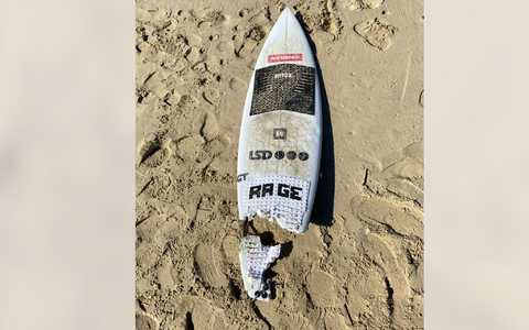 So sah das Surfbrett nach der Haiattacke aus. - Foto: Supplied By Nsw Police/NSW POLICE/AAP/dpa