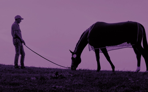 OLYMPIA 2024: Be a Guardian - FEI ruft Initiative zum Wohle der Pferde ins Leben - Foto: presseportal.de