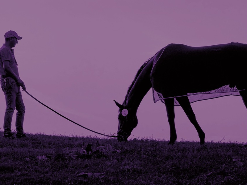 OLYMPIA 2024: Be a Guardian - FEI ruft Initiative zum Wohle der Pferde ins Leben - Foto: presseportal.de