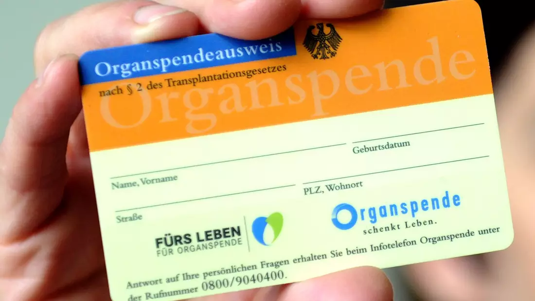Bundespräsident Frank-Walter Steinmeier spricht sich für eine Widerspruchslösung bei der Organspende aus. (Archivbild) - Bild: Caroline SeidSeidel-Dißmannel/dpa